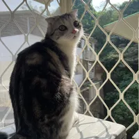 original sound - user697er88xiv