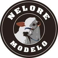 original sound - nelore_modelo