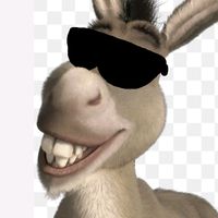 _donkey354_