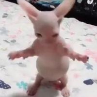 a year with the avengers