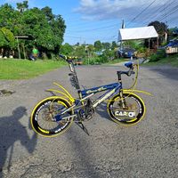 elman_dekos507