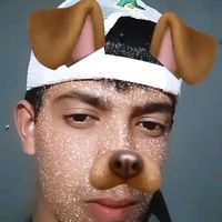 jv4228433gmail.com2