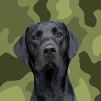 ghostblacklab