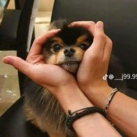 bangtan_sonyeondan463