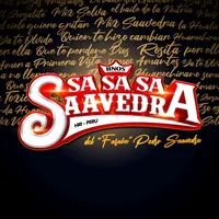 original sound - hermanossasasaavedra