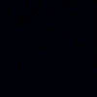 turro_568
