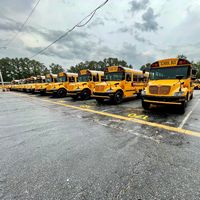 aps.buses2