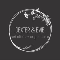 dex.evievetcare