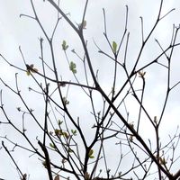 sentimentoseoportunidade