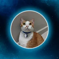 original sound - duckyof