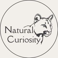 natural_curiosity