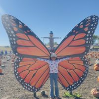 maruzam8