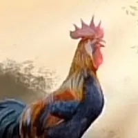 original sound - el_gall0_giro