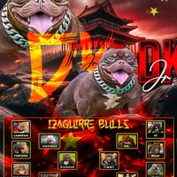 izaguirrebulls