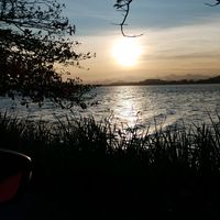 _.algumascoisinhas._