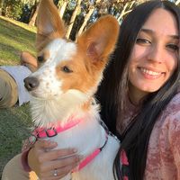 flor_oliveera