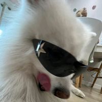 .sou.a.lala