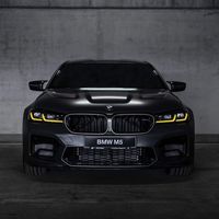 bmw_fanse