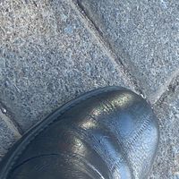 suara asli - flaimitodemun