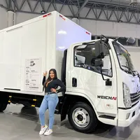 original sound - camioneramanaba