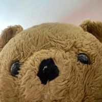 grosnounours.officiel