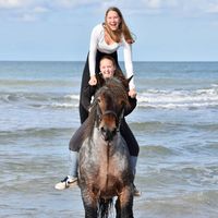 somi.equestrians