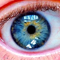 1blue_eyes1