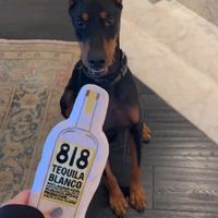 family_kardashans_jenner