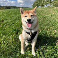 kita.kai.san