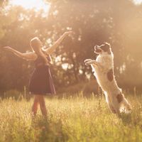 dog_dancing_iskola_bp