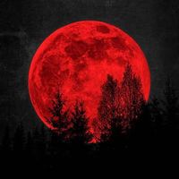 redmoon1114
