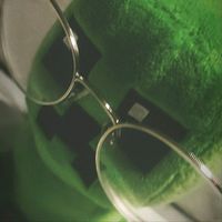 cactus_tww
