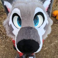 wolfspore