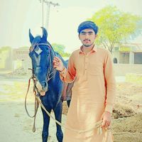 horsedanceclub1214
