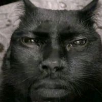 akiraahdjsiwj