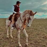 Bailarín de los montes Waku