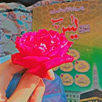 original sound - dr_zoya_laghari