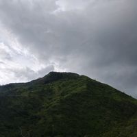 davian.154