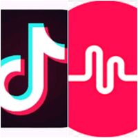 _audios_musically_tiktok