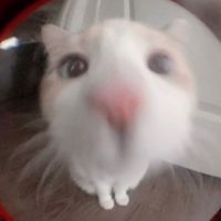 theluckkyy1