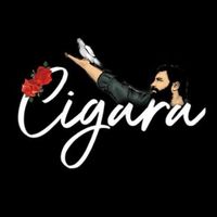 cigaram7