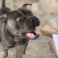 original sound - soyelpolis