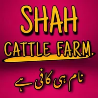 original sound - shahcattlefarm_official