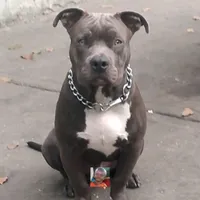 original sound - zeus_caracas