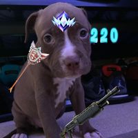 poisonfv