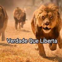 verdadsejadita