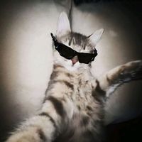 habla_diretas_indiretas