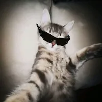 original sound - habla_diretas_indiretas