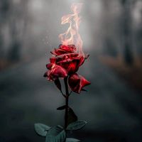 πρωτότυπος ήχος