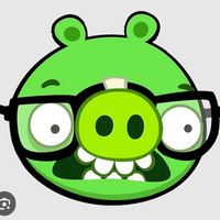ymnerk8776
